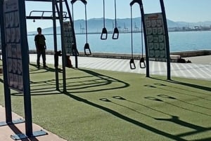 Tour Estándar en Bicicleta con Guía en Málaga Andalucía España