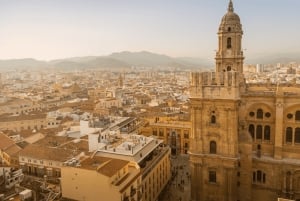 Tapas tour Malaga - Taste the city like a local