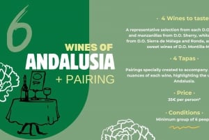 Tasting: 'Wines of Andalusia' + Pairing