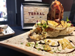 Terral