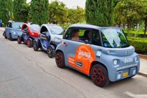 Het beste van Málaga in 2 uur met de elektrische auto