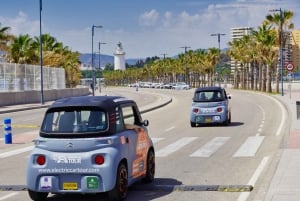 Das Beste von Málaga in 2 Stunden mit dem Elektroauto