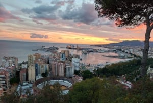 The best of Malaga in 2 hours by Electric Car