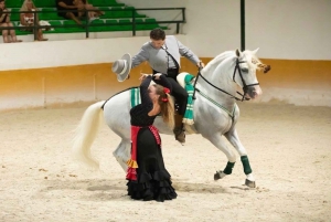 Malaga: Horse Show with Dinner, Drinks & Live Flamenco Show