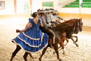 Malaga: Horse Show with Dinner, Drinks & Live Flamenco Show