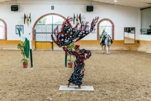 Torremolinos: Show de cavalos, opção de jantar, bebidas e flamenco