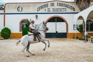 Torremolinos: Pokaz koni, kolacja, drinki i flamenco