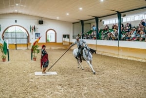 Torremolinos: Spettacolo di cavalli, cena, bevande e Flamenco