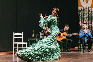 Torremolinos: Pokaz koni, kolacja, drinki i flamenco