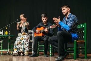 Torremolinos : Spectacle équestre, option dîner, boissons et flamenco
