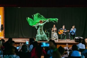 Torremolinos: Hesteshow, middag, drinker og flamenco