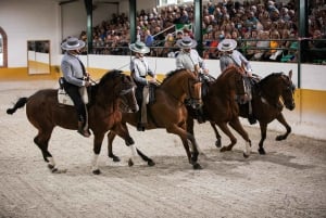 Torremolinos: Spanish horse show and flamenco with dinner option