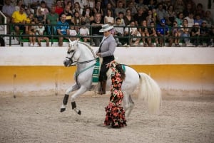 Torremolinos: Spanish horse show and flamenco with dinner option