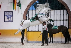 Torremolinos: Spanish horse show and flamenco with dinner option