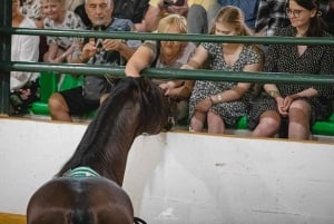 Torremolinos: Spanish horse show and flamenco with dinner option