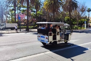 Málaga 1 time med TukTuki: Væsentlig og privat tur