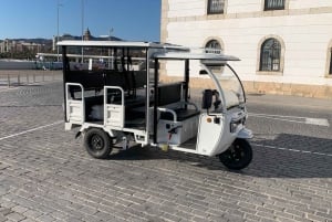 Málaga 1 time med TukTuki: Væsentlig og privat tur