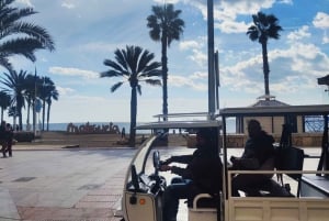 Málaga 1 time med TukTuki: Væsentlig og privat tur