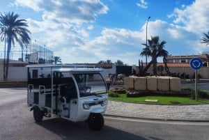 Málaga 1 time med TukTuki: Væsentlig og privat tur