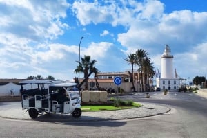 Málaga 1 time med TukTuki: Væsentlig og privat tur