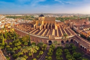 Transfer aeroportuale da Malaga a Tarifa