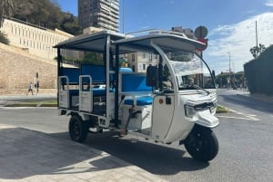 Malaga: Tuk tuk tour