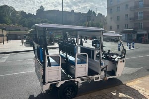 Malaga: Tuk tuk tour