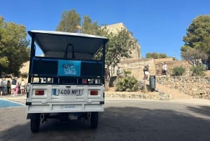 Malaga: Tuk tuk tour