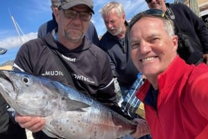 TONIJNVISTRIPS IN FUENGIROLA