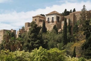 Ultimate Malaga : Histoire et Tapas tout compris