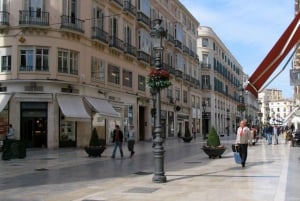 Ultiem Malaga: geschiedenis en tapas, alles inbegrepen