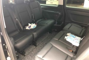 Vip One Way Transfer from Malaga Airport to Malaga City