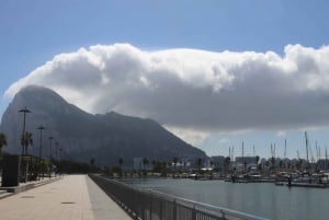 Gibraltar: Tour guiado desde la Costa Del Sol