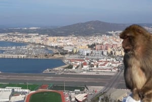 Gibraltar: Tour guiado desde la Costa Del Sol