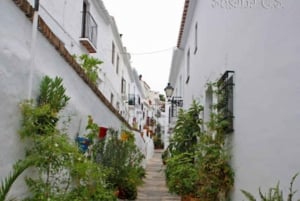 Excursão de Málaga a Nerja e Frigiliana