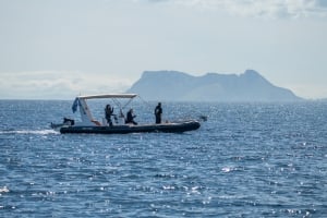 WeWhale