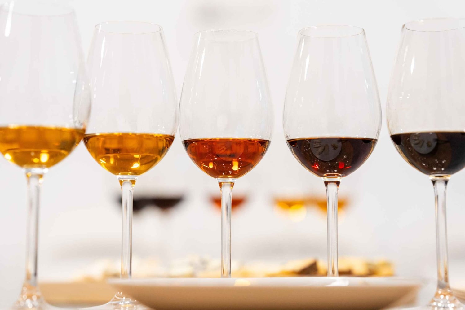 Degustacja win i serów z Andaluzji