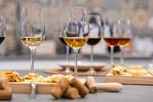 Wine and cheese tasting from Andalucia