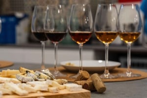 Wine and cheese tasting from Andalucia