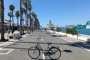 Malaga Bike Tour - Wine & Tapas Delicacies