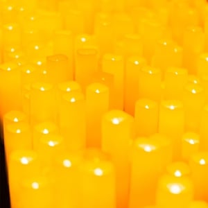 Candlelight: Z Vivaldim Cztery Pory Roku i Więcej