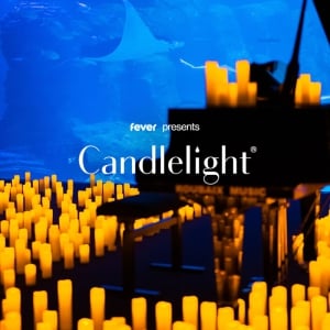 Candlelight: Tribute to Ludovico Einaudi