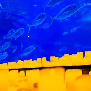 Candlelight: Tribute to Ludovico Einaudi