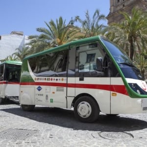 Granada Tourist Train