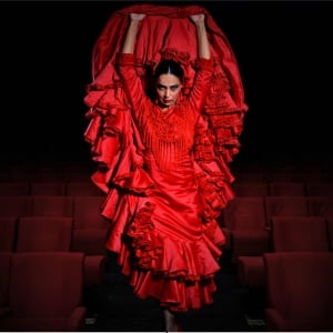 Sensations - Flamenco Theatre Granada