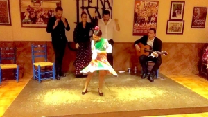 Flamenco Show - top professional artists