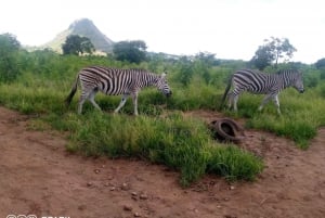 Malawi wildlife safari Tour