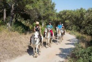 Mallorca: Mountain Horse Riding Experience w/ Brunch Option