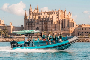 Mallorca: 2 timers speedbåttur, besøk grotter, klipper og snorkling