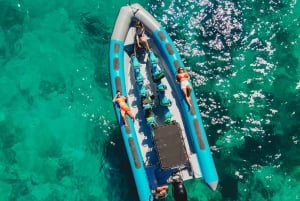 Mallorca: 2 timers speedbåttur, besøk grotter, klipper og snorkling